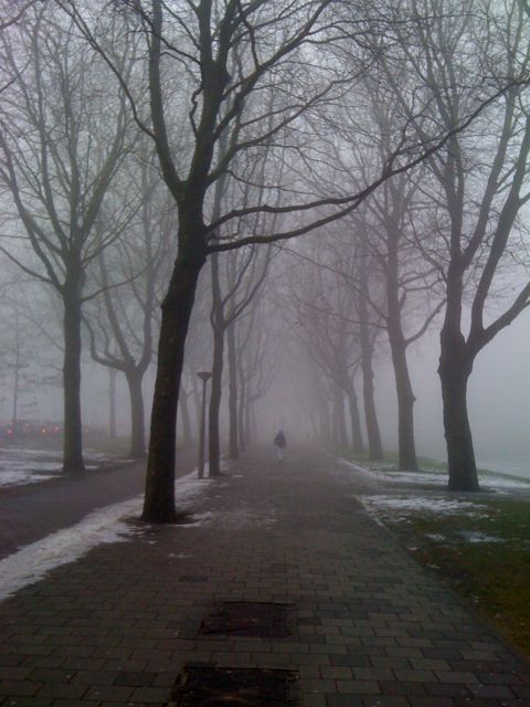 2010-SPAREU-1-Chris-Arjen-fog